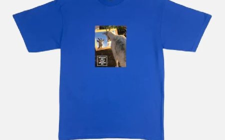 Babel Fleece ADWYSD's Universal Comfort Language