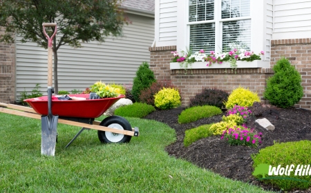 Transform Your Yard with Expert Landscaping in Manassas, VA
