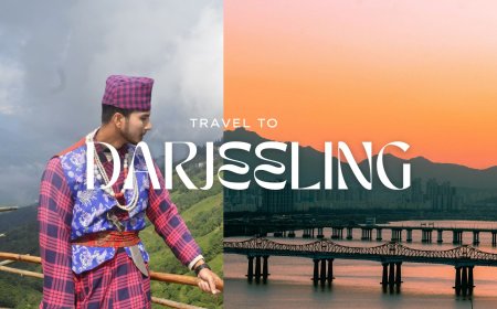 Darjeeling Tour Packages Under 10000: Your Economical Escape to Nature