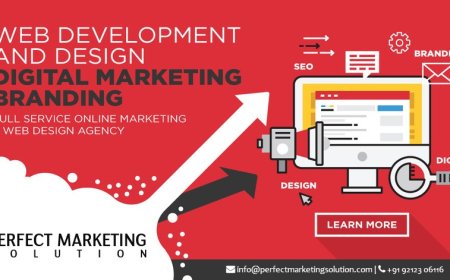 Essential Guide to Custom Software Development for Startups