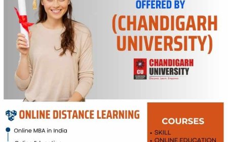 What Makes an Online MBA the Best Option for Working Professionals?