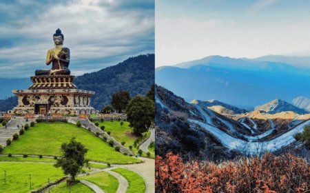 Darjeeling Dreams: Nature, Culture & Nostalgia