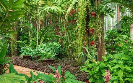 Ready for a Big Garden Upgrade? 5 Signs You Need a Greenhouse