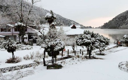 Discover Mesmerizing Views at Snow View Point Nainital Today