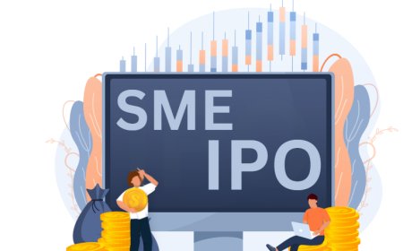 Behind the Scenes: What SME IPO Consultants Actually Do for You