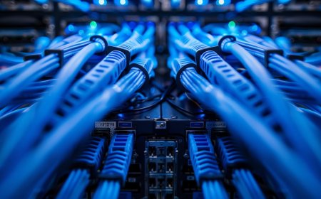 Understanding the Role of Networking Hubs Today