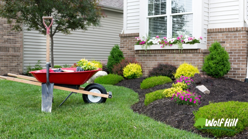 Transform Your Yard with Expert Landscaping in Manassas, VA