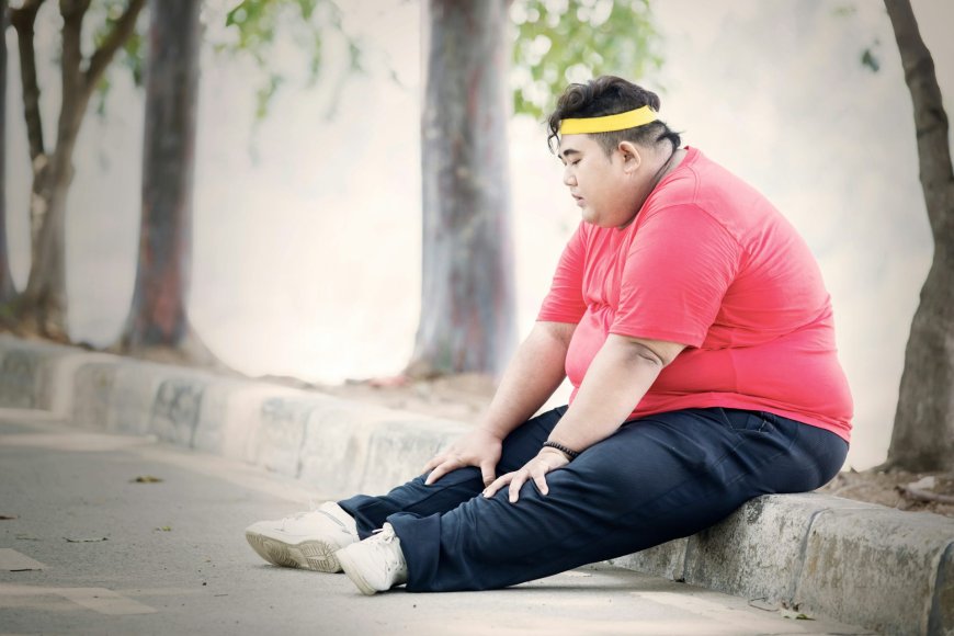 Improve Back Strength Affected by Obesity with Physio Help
