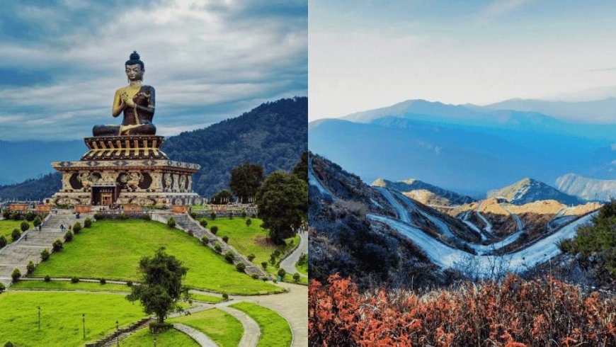Darjeeling Dreams: Nature, Culture & Nostalgia