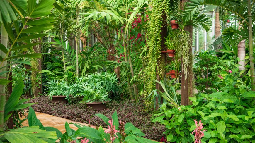Ready for a Big Garden Upgrade? 5 Signs You Need a Greenhouse