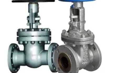 Parallel Double Disc Gate Valve Pressure Test Process