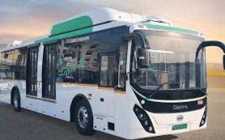 bus market insights, size , share & report 2033