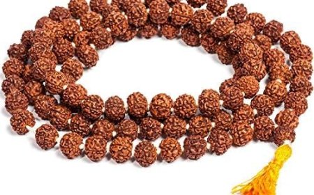 True Mala Value: What Affects 108 Bead Rudraksha Price?