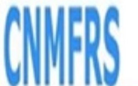 China Manufacturers B2B Platform Co., Ltd.