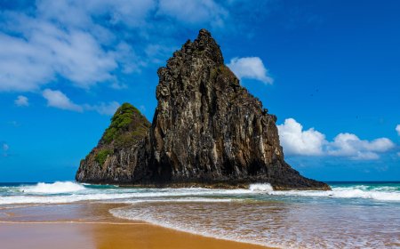 Your Trusted Travel Hub: Turkish Airlines New York City Office