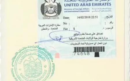 Simplifying MOFA Attestation in Dubai for Educational Certificates