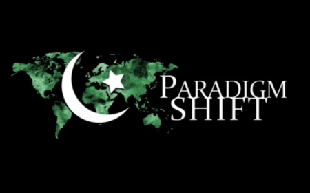 What Drives the Demand for the _Solar System in Pakistan?