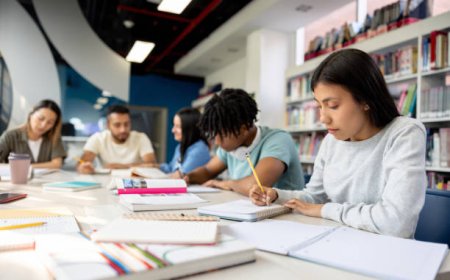 Why More UK Students Are Turning to Dissertation Writing Help for Academic Success