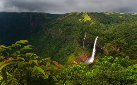 Shillong Guwahati Tour: Must-See Spots & Travel Tips for First Timers