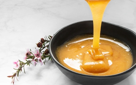 From the Bushlands to Your Breakfast Table: How Australia’s Medicinal Honey Earned Its Place in Daily Wellness