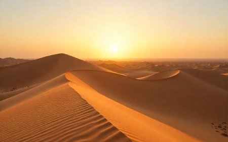 Important Things to Do After Booking Your International Flight