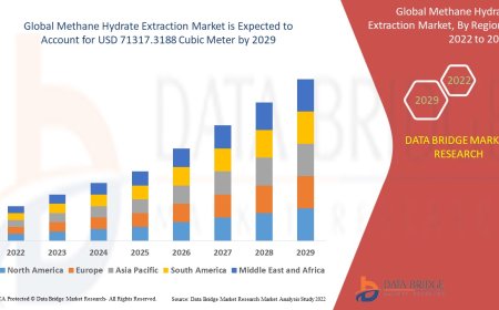 Methane Hydrate Extraction Market Trends, Insights and Future Outlook