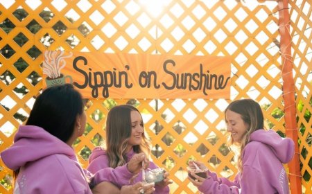 Hot Drop: Pink Palm Puff Hoodies 2025