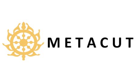 The Metacut Inc.