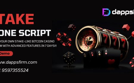 Stake Clone Script vs Building from Scratch: What Works Best?