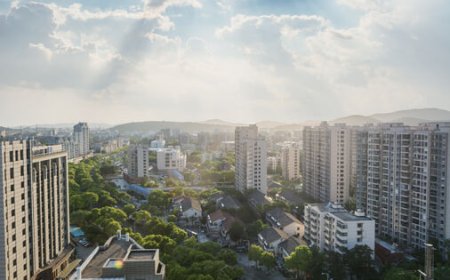 Factors That Influence Real Estate Property Prices in Urban Areas