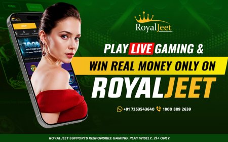 Play Live Gaming & Win Real Money Only on RoyalJeet