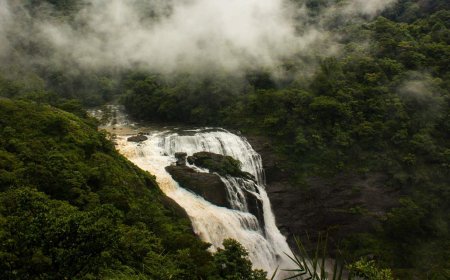 Explore Nature’s Paradise: Coorg Tour Packages from Bangalore