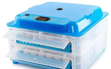 Du Jaune à la Vie : Comment une Couveuse d'œuf Transforme Vos Œufs en Poussins