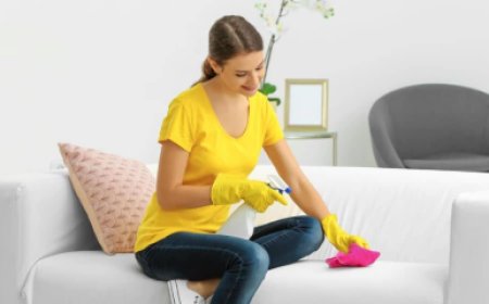 Sofa Cleaning Services: Restore Comfort and Cleanliness to Your Home