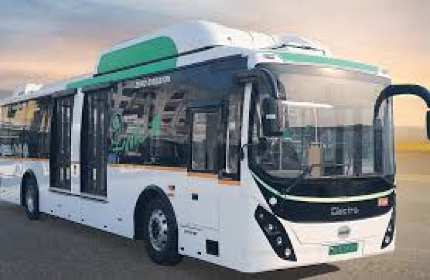 bus market insights, size , share & report 2033
