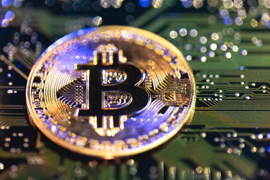 How to Use a Crypto Calculator for Profitable Trading