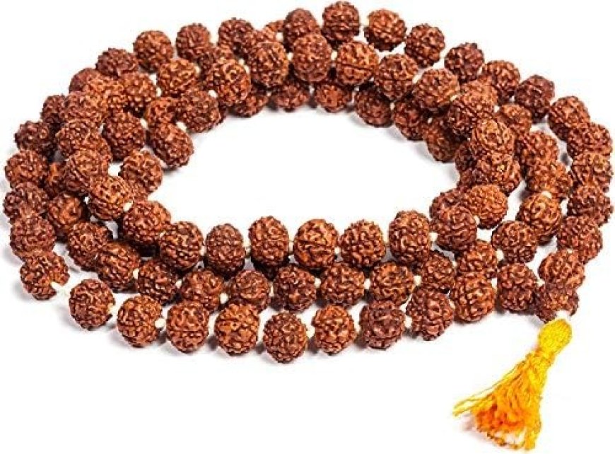 True Mala Value: What Affects 108 Bead Rudraksha Price?