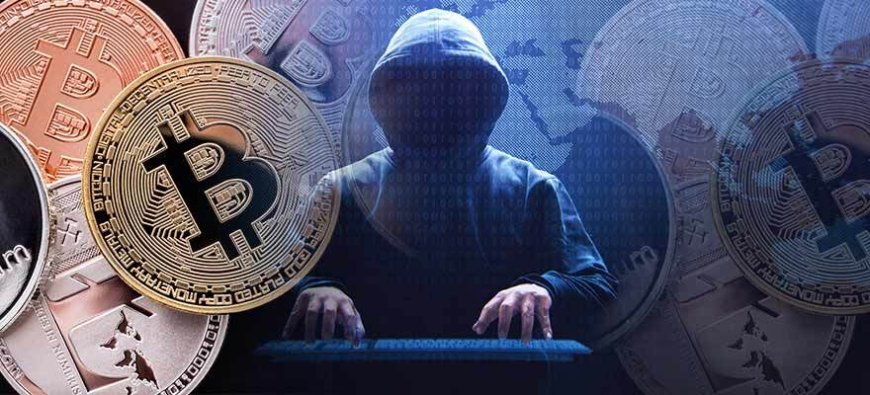 Crypto Wallet vs Exchange: What's the Difference and Which Should You Use?