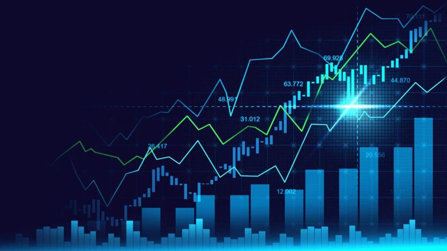 Exploring the Forex Grey Label : Your Gateway to Launching a Trading Business