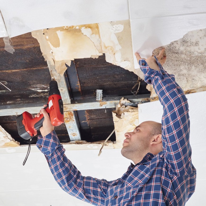 Water Damage Restoration How to Protect Your Home and Property