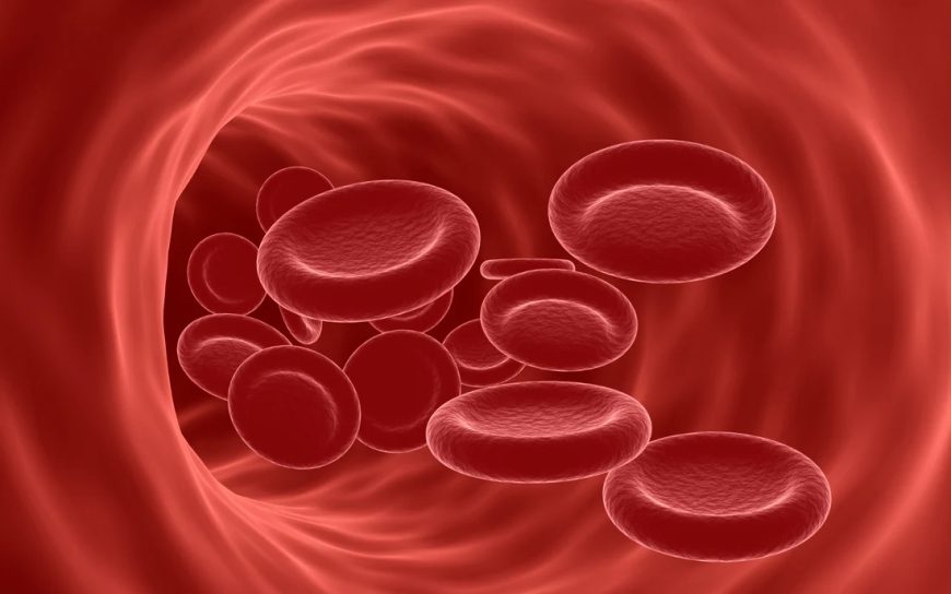Nutritional Tips for Reducing High Cholesterolemia Dubai