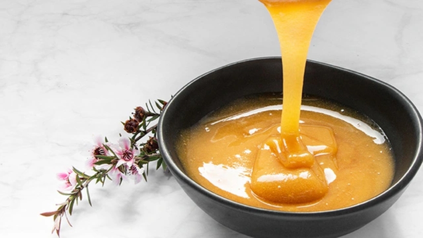 From the Bushlands to Your Breakfast Table: How Australia’s Medicinal Honey Earned Its Place in Daily Wellness