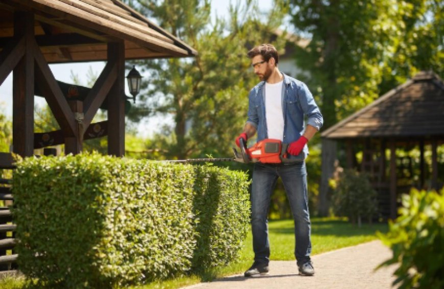 Lawn Service Companies, Lawn Treatment Service Best Practices for a Healthy Green Yard