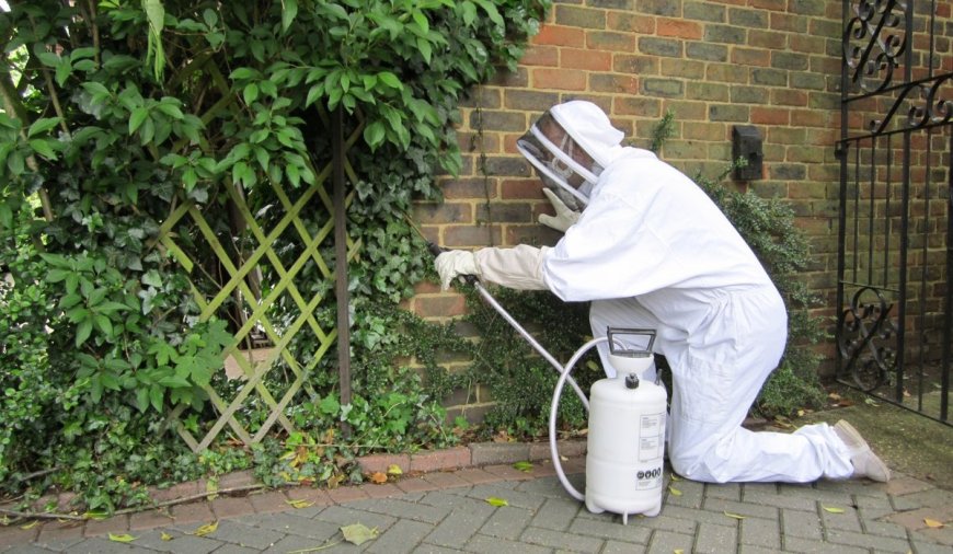 How Pests Are Finding New Ways Into Staten Island Homes