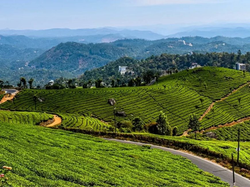 Top Places to Visit on Your Munnar Tour