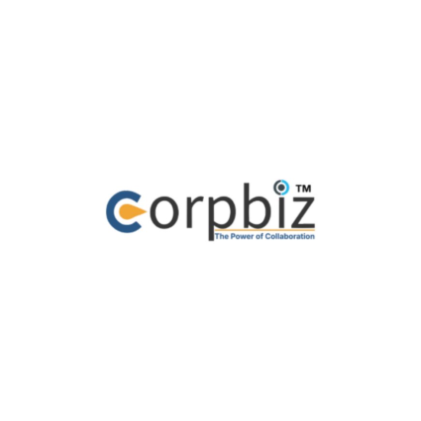 Fast-Track Your Government License Application with Expert Assistance
