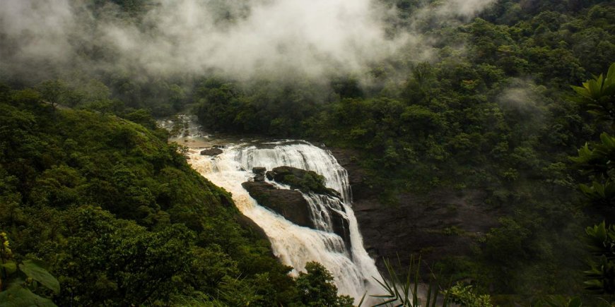 Explore Nature’s Paradise: Coorg Tour Packages from Bangalore