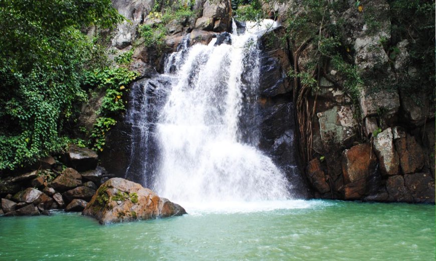 Experience Nature and Peace with a Memorable Daringbadi Tour