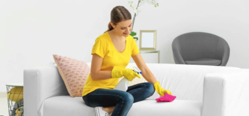 Sofa Cleaning Services: Restore Comfort and Cleanliness to Your Home
