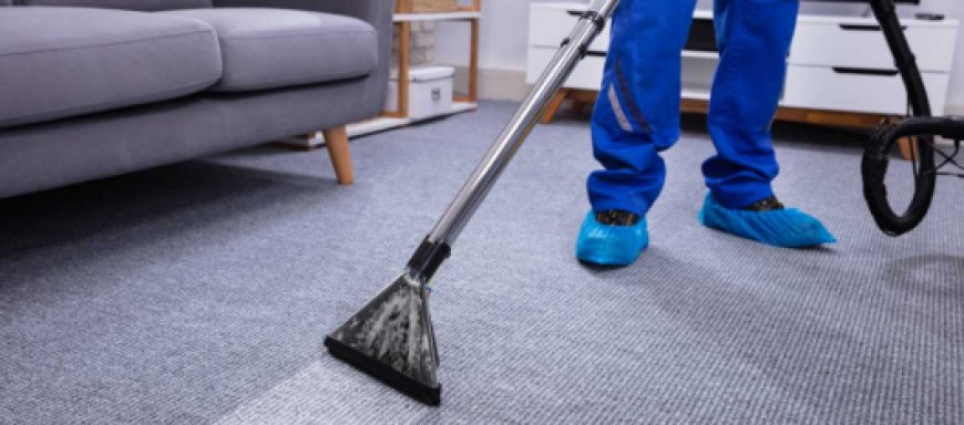 Carpet Cleaning Services: Refresh Your Home with Deep and Professional Care